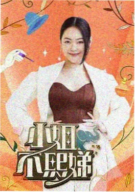 王祖贤 访谈节目 影像资料
